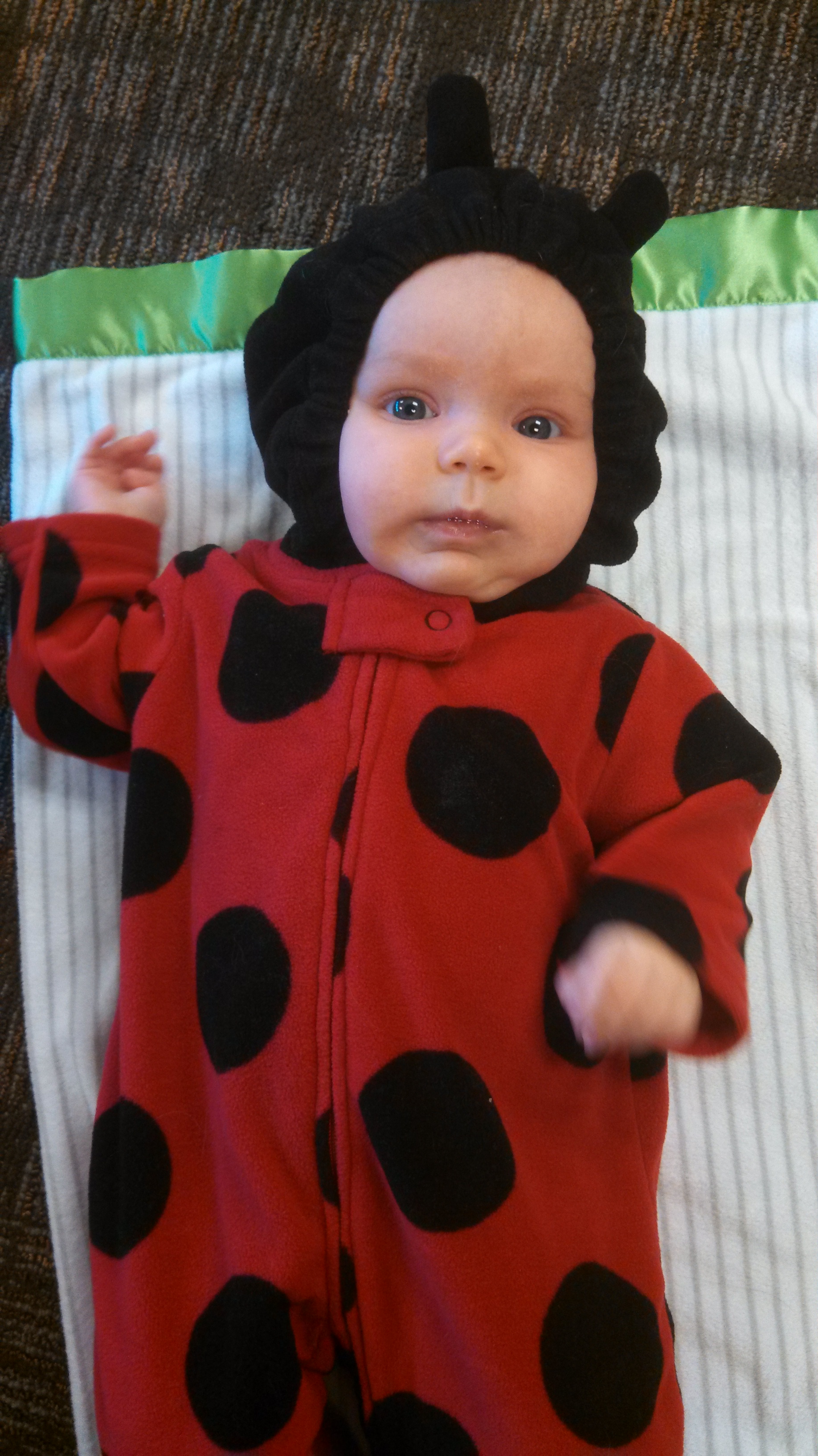 I quickly got over my hangups when I saw how insanely cute she was as a ladybug.