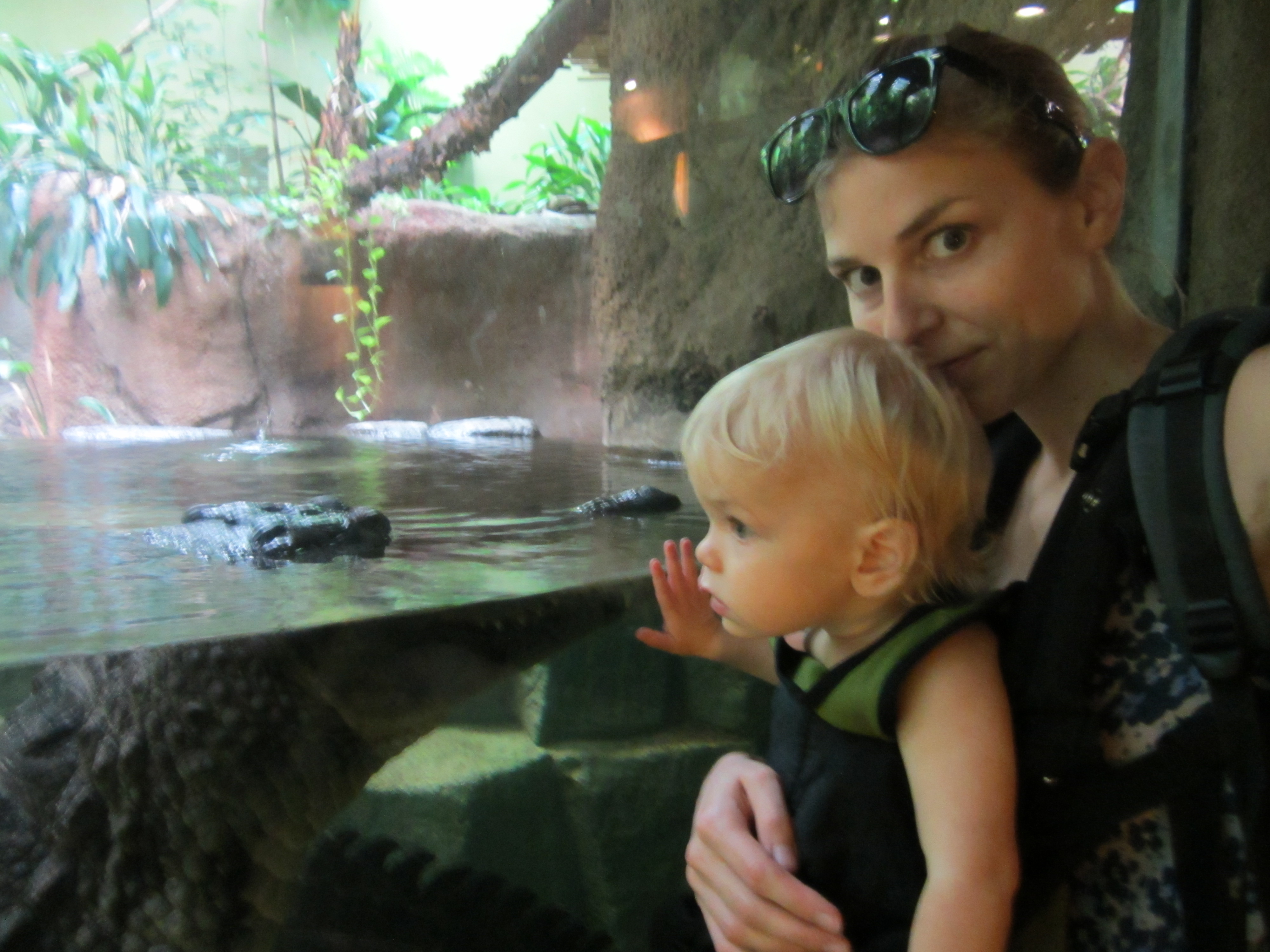 Oregon Zoo - crocodile - Ten Thousand Hour Mama