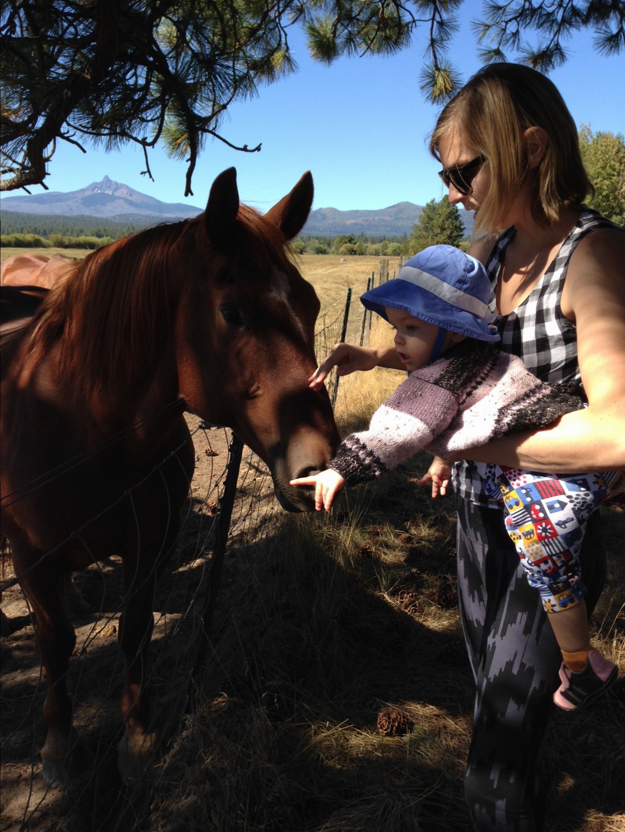 Ten Thousand Hour Mama - Horse at Black Butte Ranch