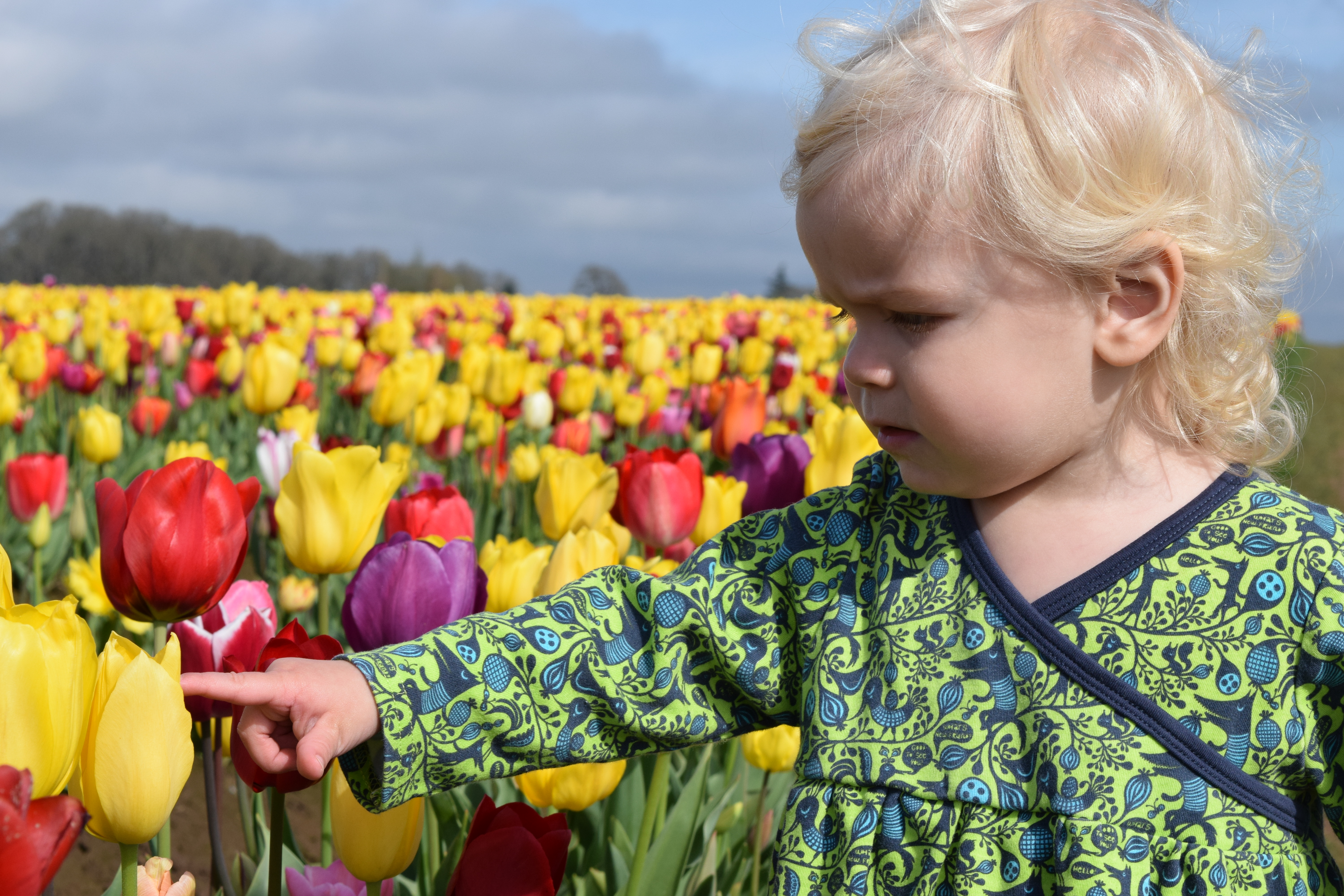 Toddler tulip festival Woodburn curls