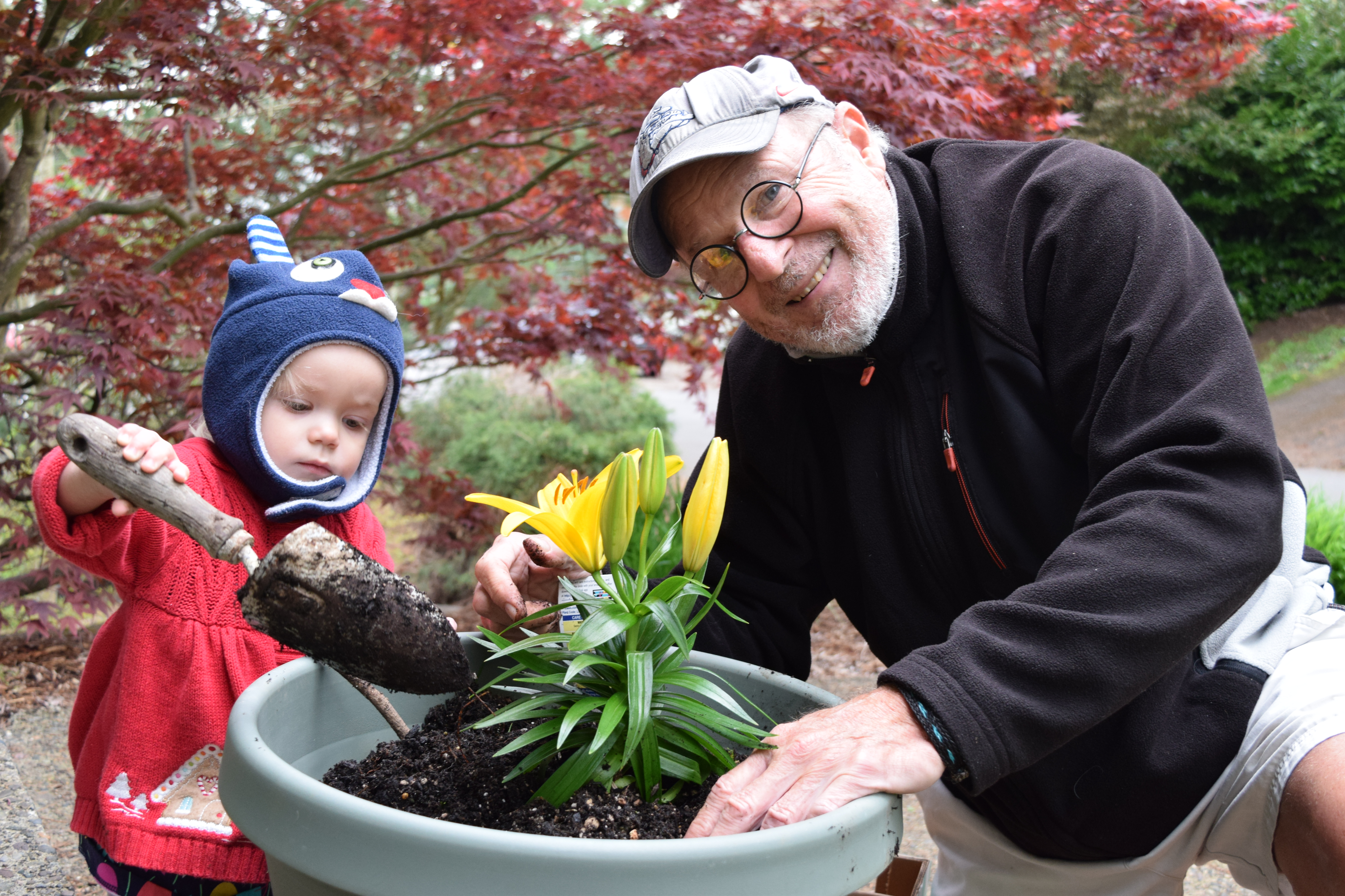 Toddler planting flowers with grandpa - Ten Thousand Hour mama