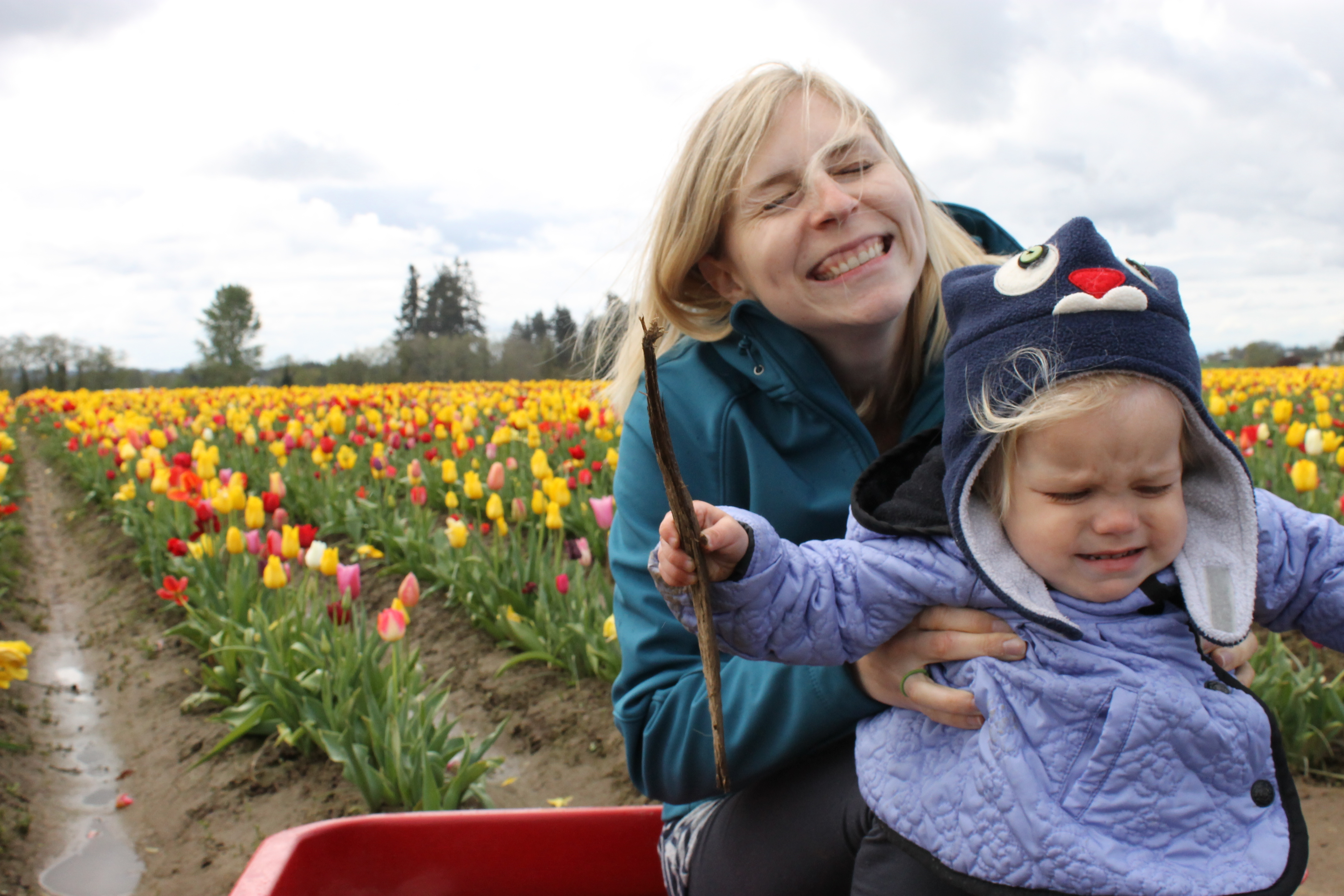 Tulips and wagon - Ten Thousand Hour Mama