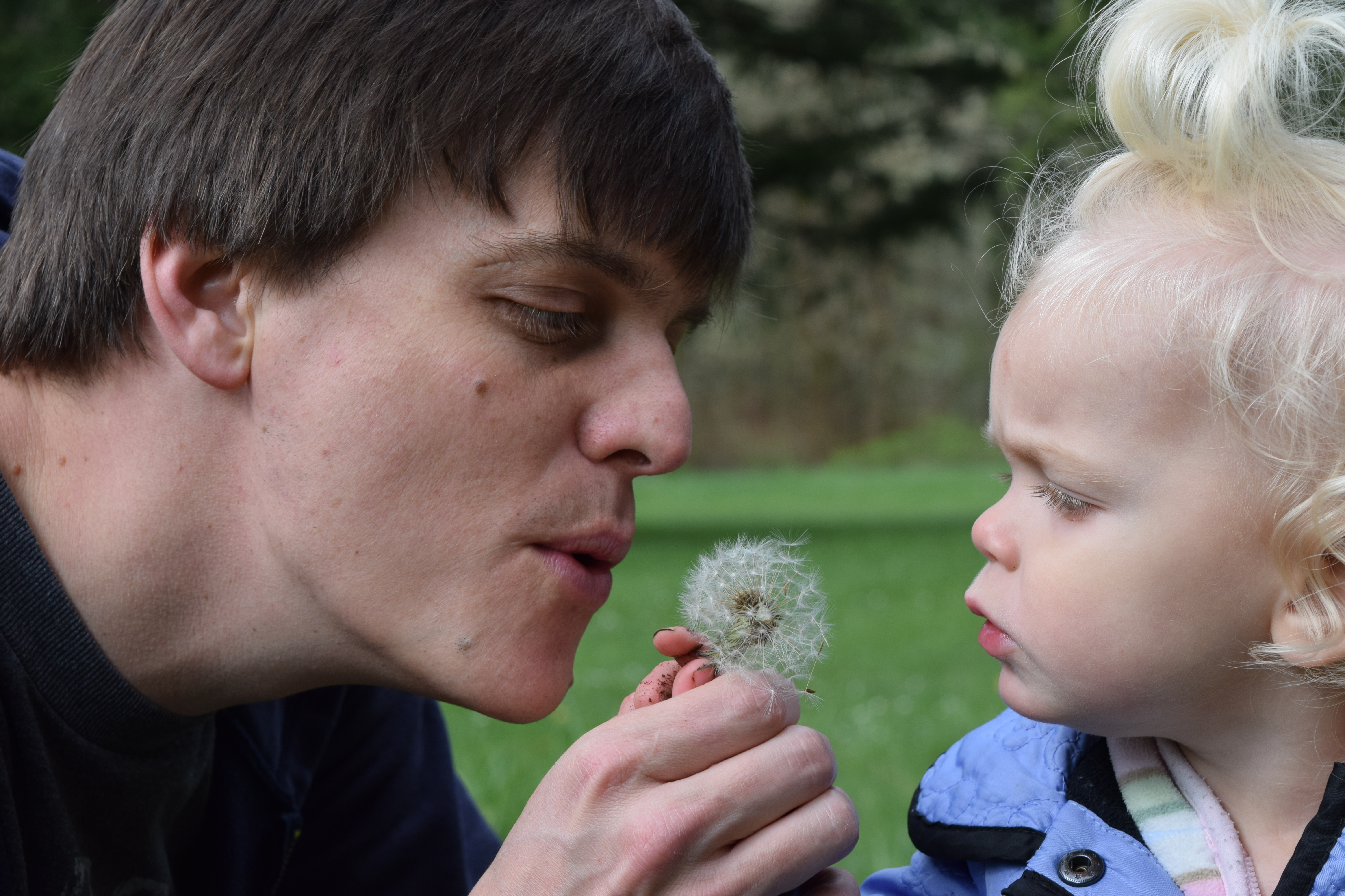 Toddler and dad blow dandelion father's day