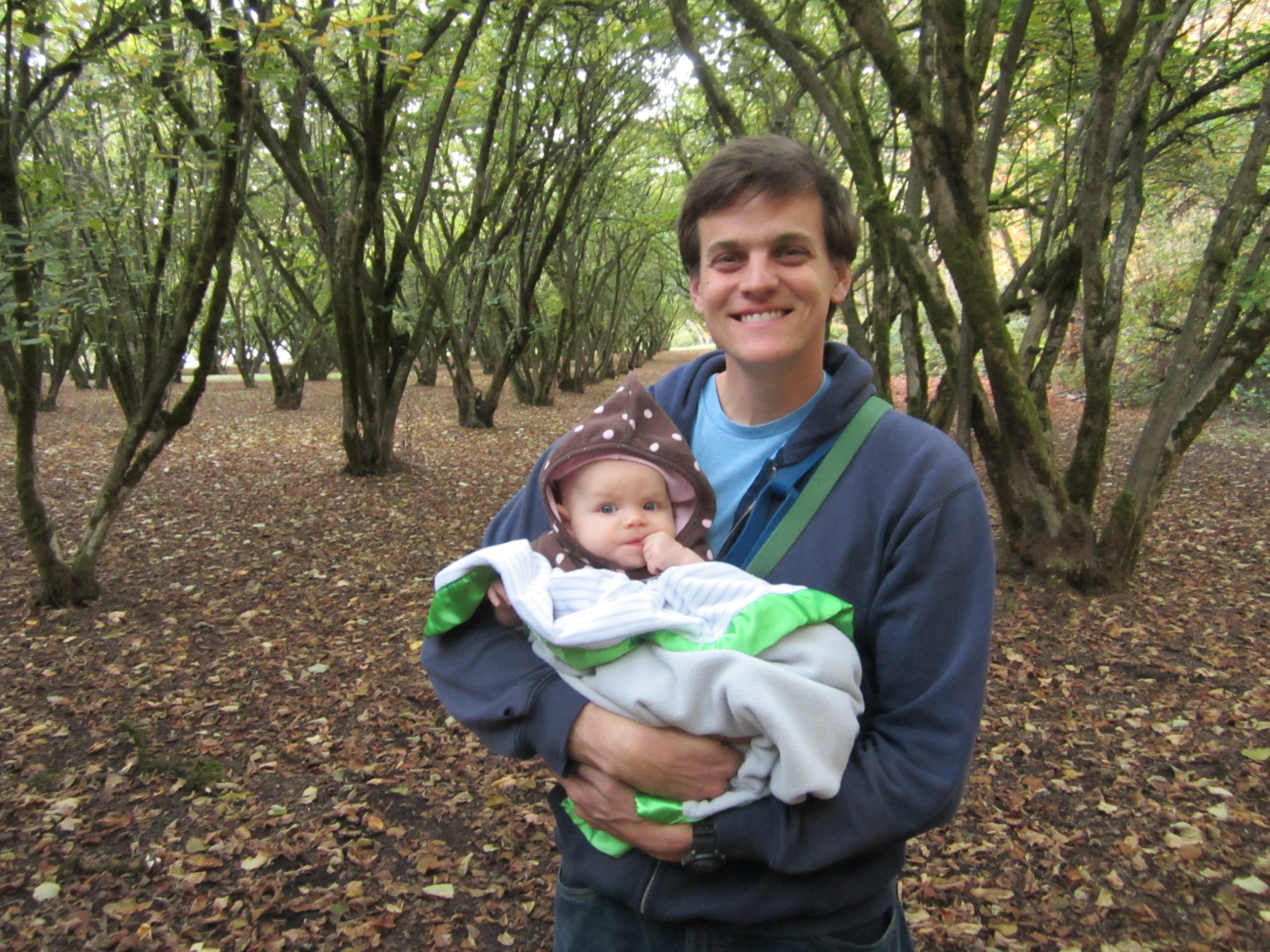 dad carrying baby hazelnut orchard Eugene Oregon Dorris Park