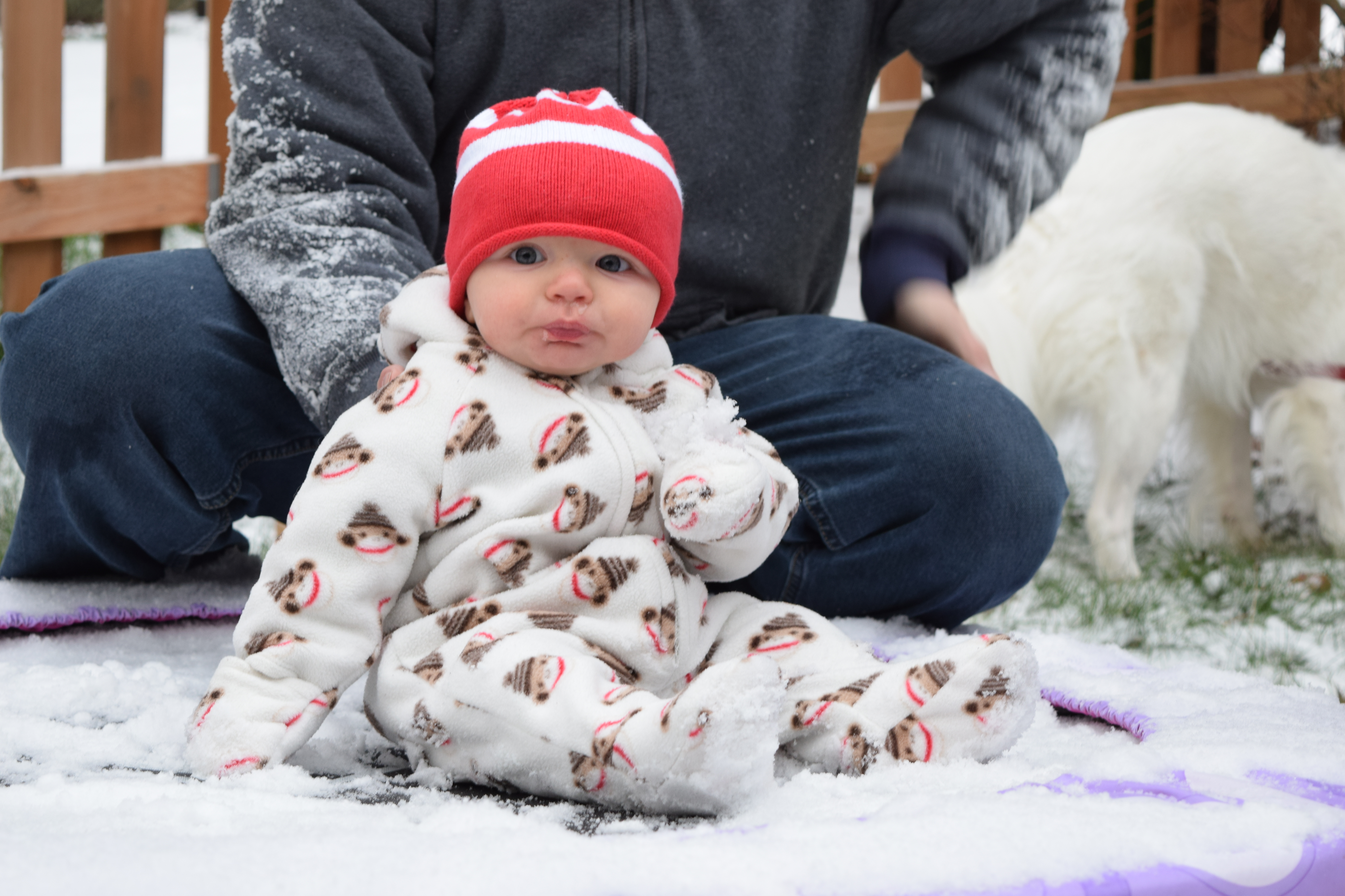 Baby's first snow